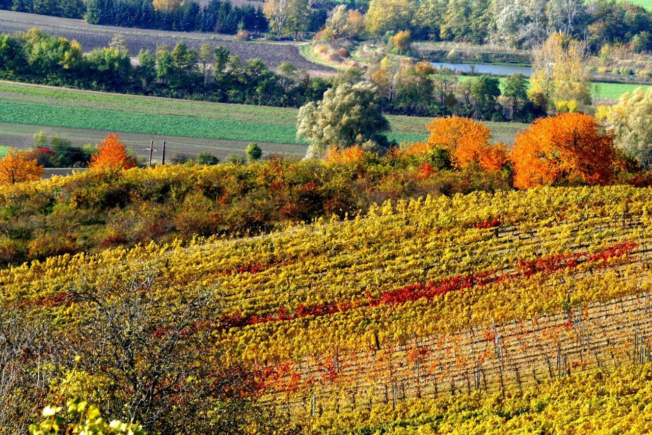 Weingut Breitenfelder Retz Exterior photo