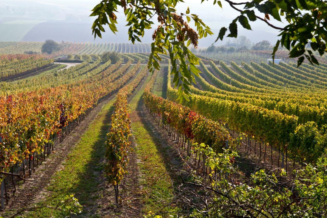 Weingut Breitenfelder Retz Exterior photo